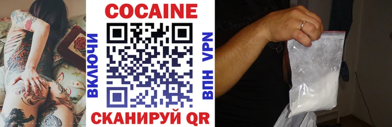 Cocaine Fish Scale  Купить закладки  Горняк 