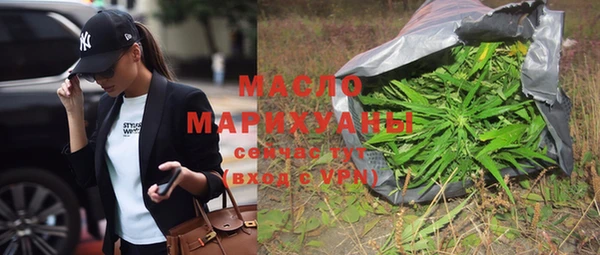 дмт Инсар