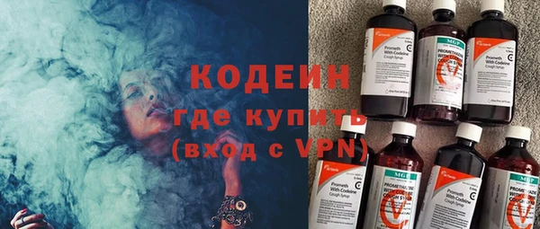 дмт Инсар