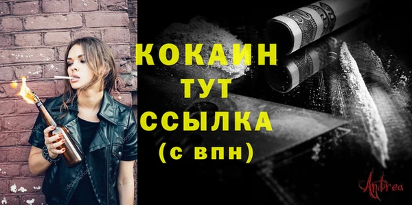 дмт Инсар