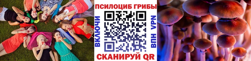 Купить где  Горняк  Галлюциногенные грибы ЛСД 
